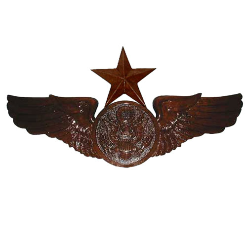 Air Force Insignia & Wings