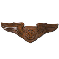 Air Battle Manager Wings Insignia Plaque Wings