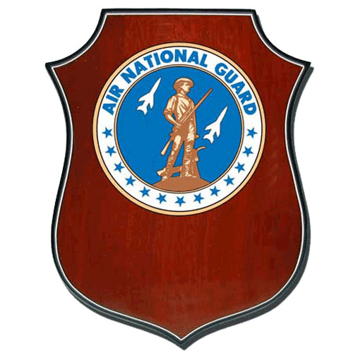 US Air National Guard Plaque