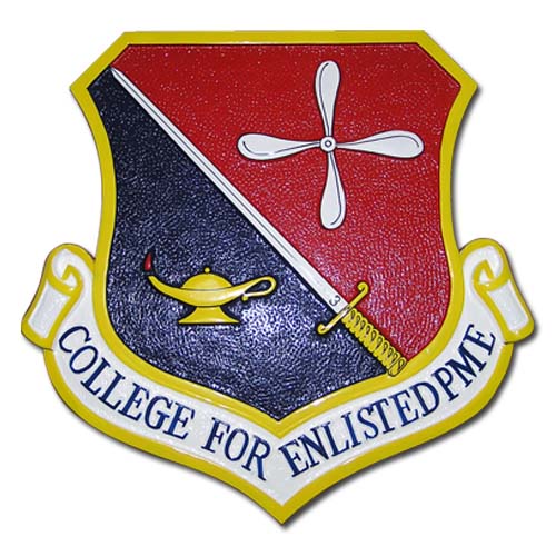 College for Enlisted PME Emblem