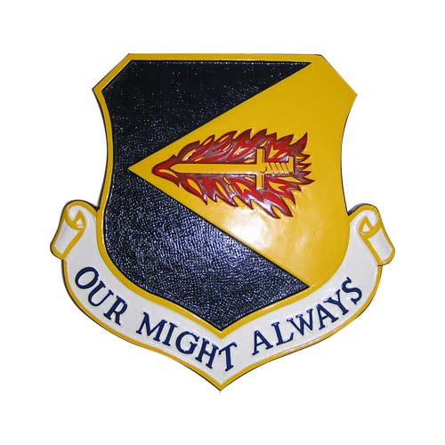 355th Fighter Air Wing