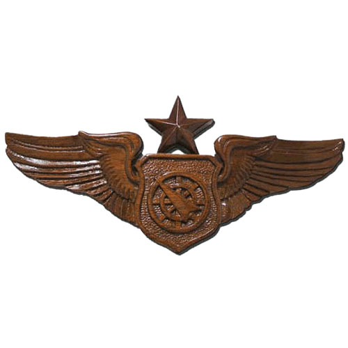Senior Air Battle Manager Wings Insignia Plaque